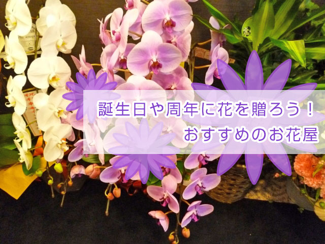 北新地のおすすめお花屋さん3選 誕生日や周年には花を贈ろう やっぱ好きやねん 北新地 口コミ 評判